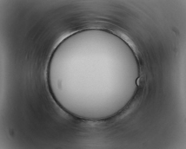 X0000116820803200912312014