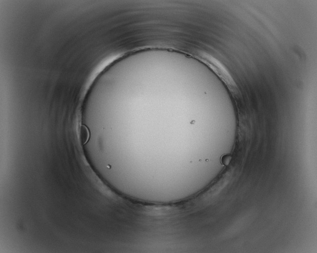 X0000116820804200912312014