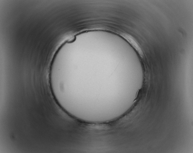 X0000116820805200912312014