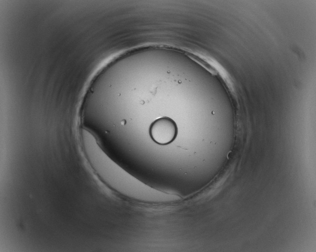 X0000116820807200912312014