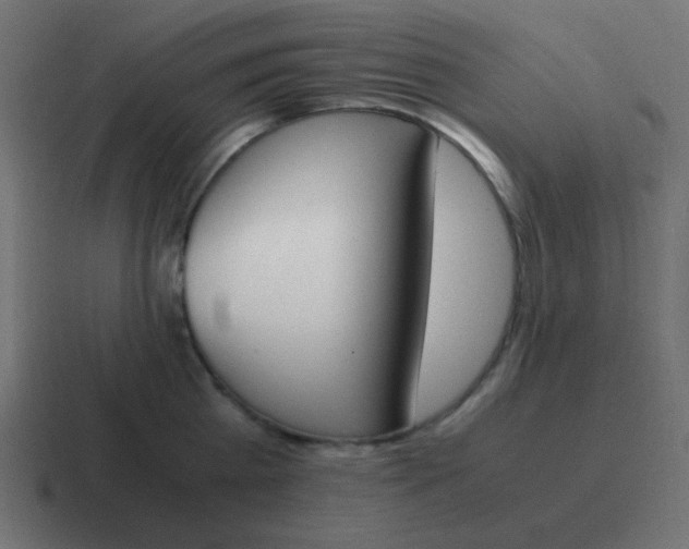 X0000116820809200912312014