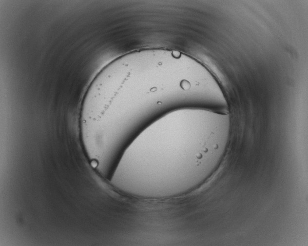 X0000116820810200912312014