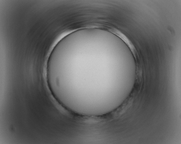 X0000116820811200912312014