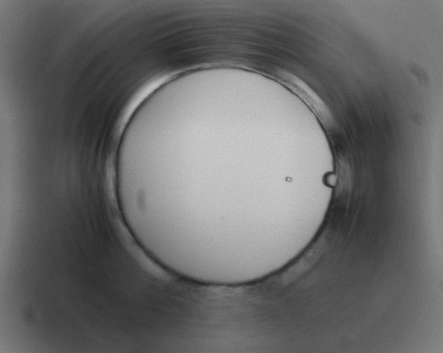 X0000116820812200912312014