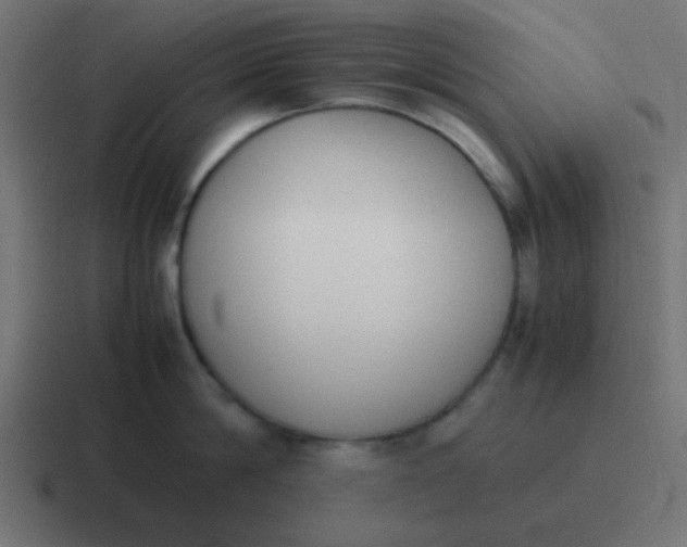 X0000116820814200912312014