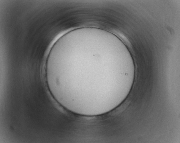 X0000116820816200912312014