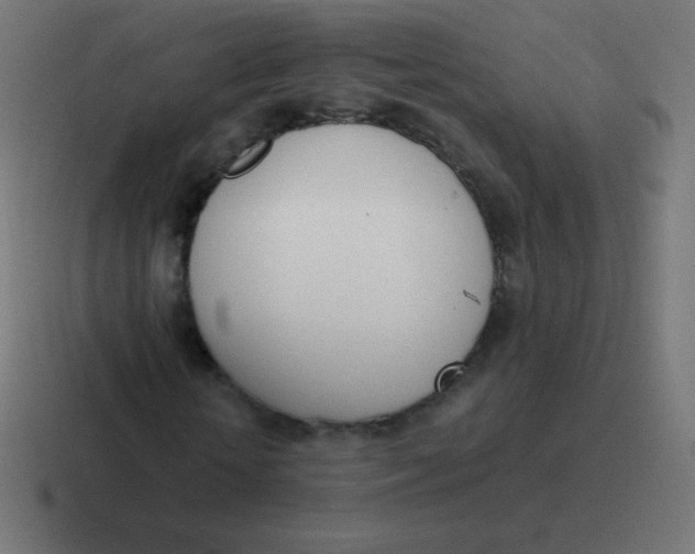 X0000116820818200912312014