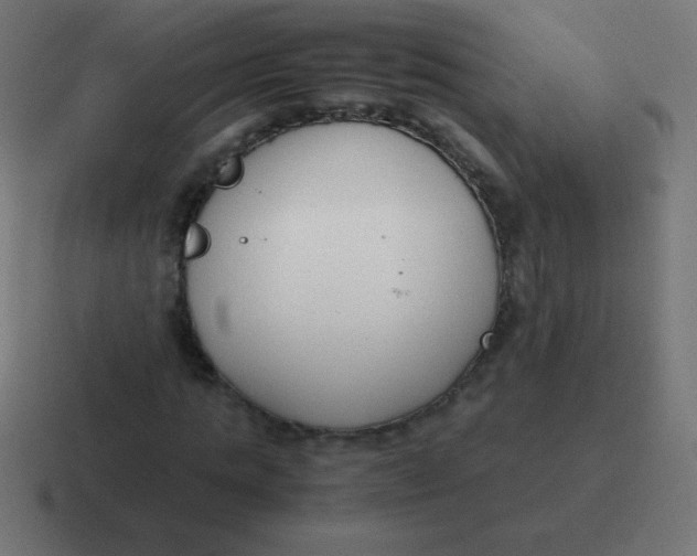 X0000116820821200912312014