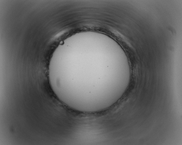 X0000116820822200912312014