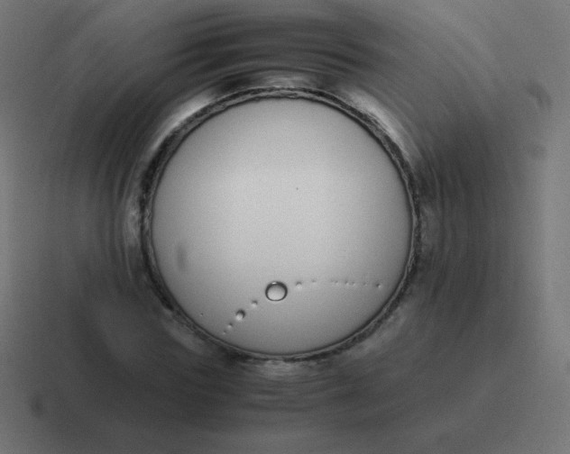 X0000116820827200912312014