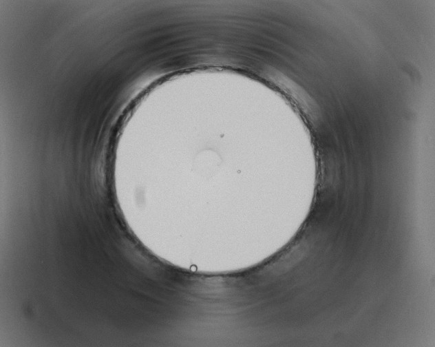 X0000116820828200912312014