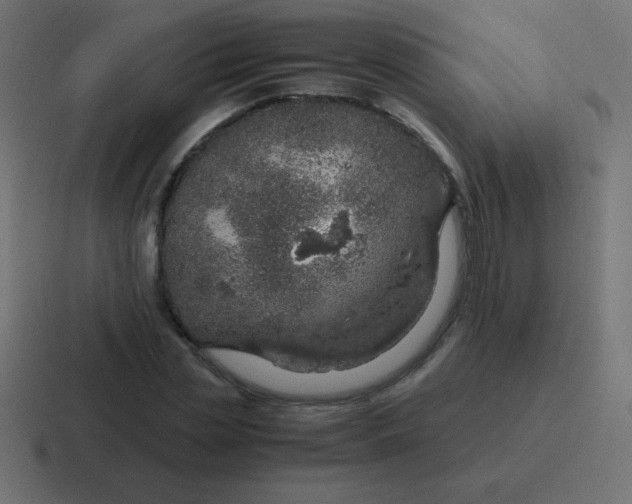 X0000116820829200912312014