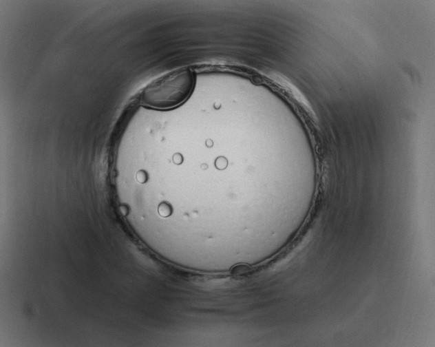 X0000116820831200912312014