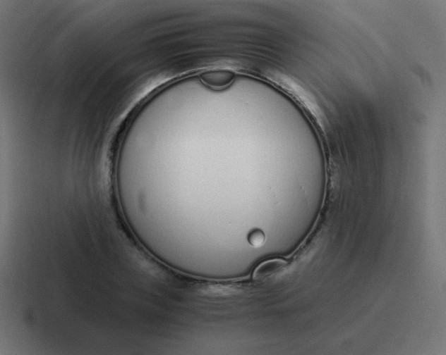 X0000116820835200912312014