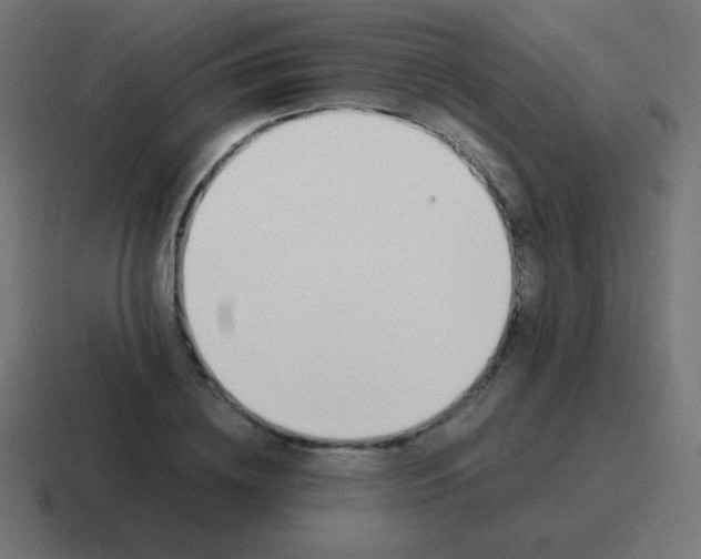 X0000116820836200912312014