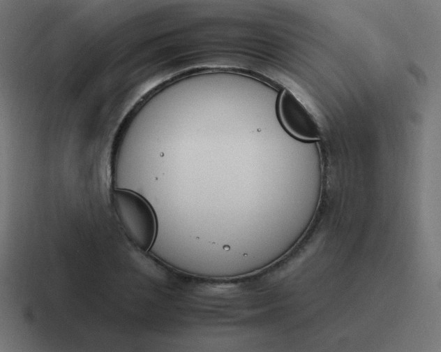 X0000116820837200912312014