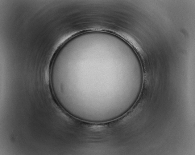 X0000116820839200912312014