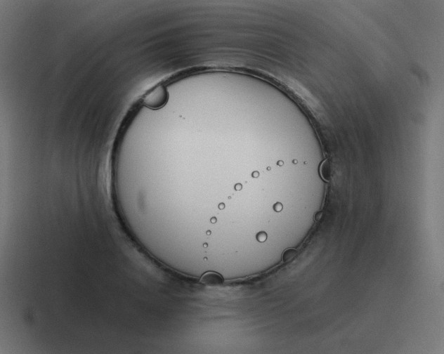 X0000116820840200912312014