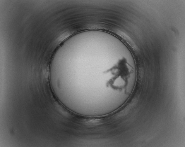 X0000116820841200912312014