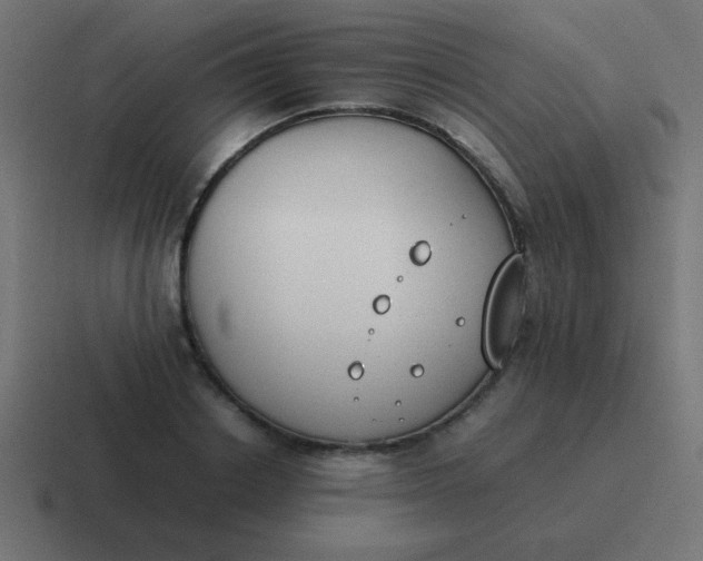 X0000116820842200912312014