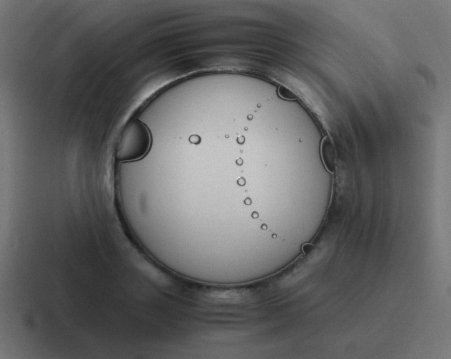 X0000116820843200912312014