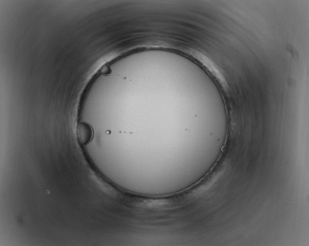 X0000116820845200912312014