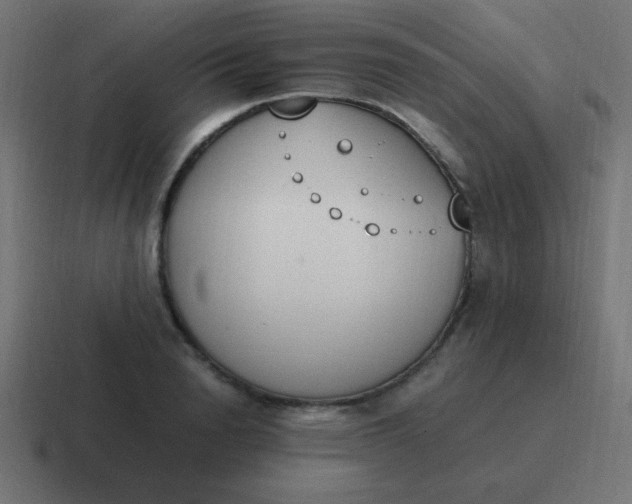 X0000116820846200912312014