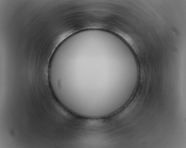 X0000116820850200912312014