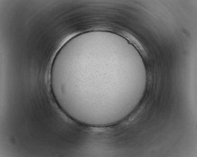 X0000116820852200912312014