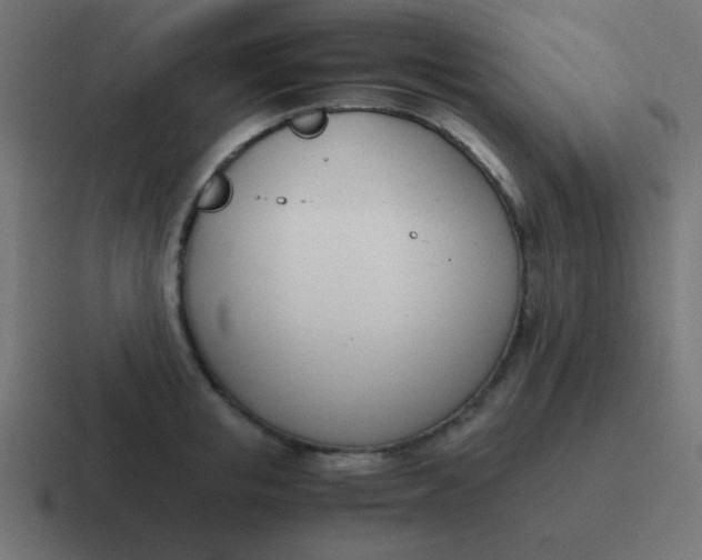 X0000116820853200912312014