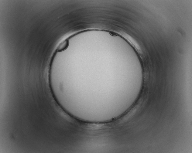 X0000116820854200912312014