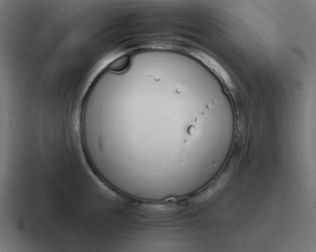 X0000116820855200912312014