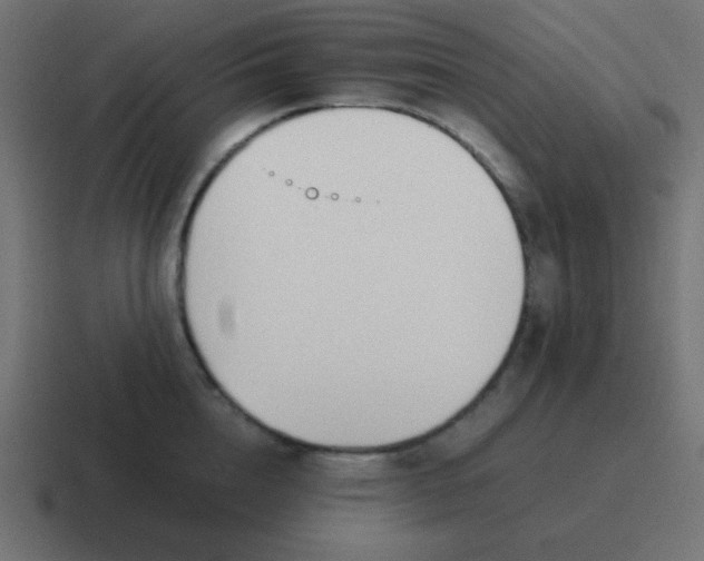 X0000116820856200912312014