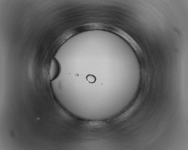 X0000116820857200912312014