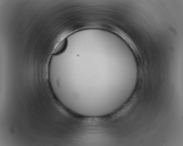 X0000116820858200912312014