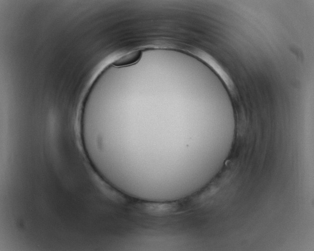 X0000116820861200912312014