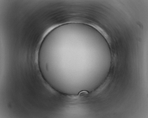 X0000116820862200912312014