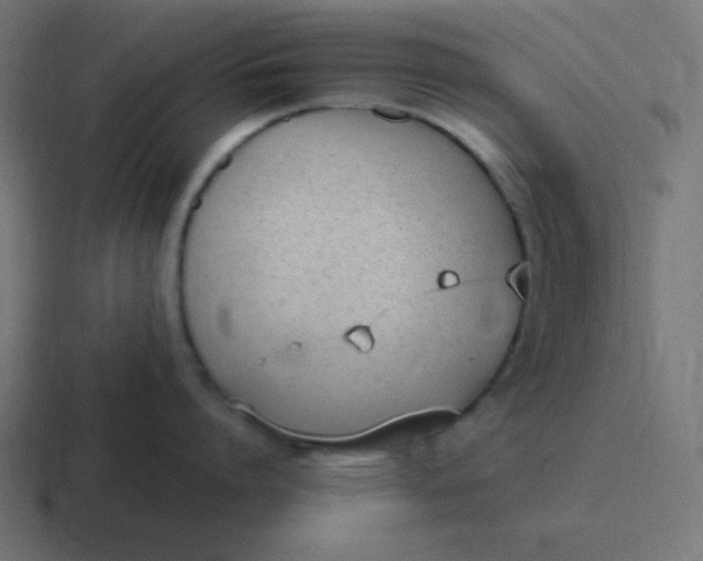 X0000116820864200912312014