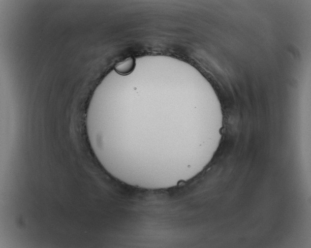 X0000116820865200912312014