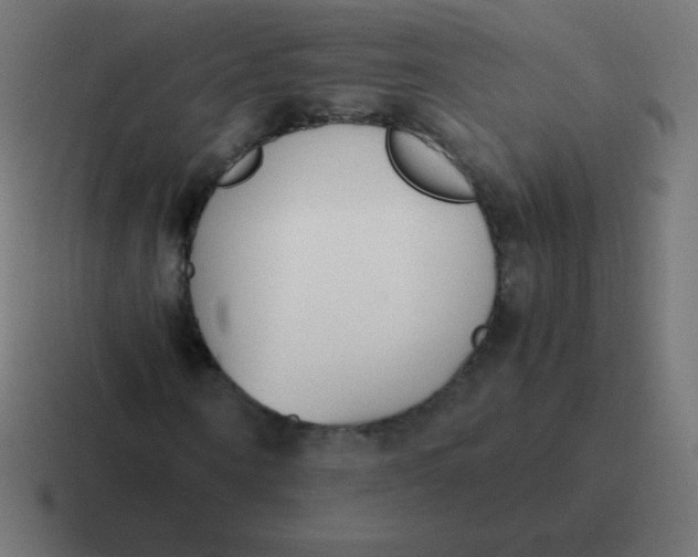 X0000116820866200912312014