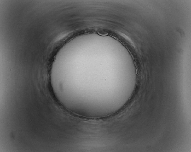 X0000116820869200912312014