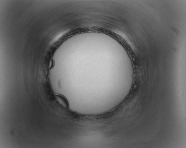 X0000116820871200912312013