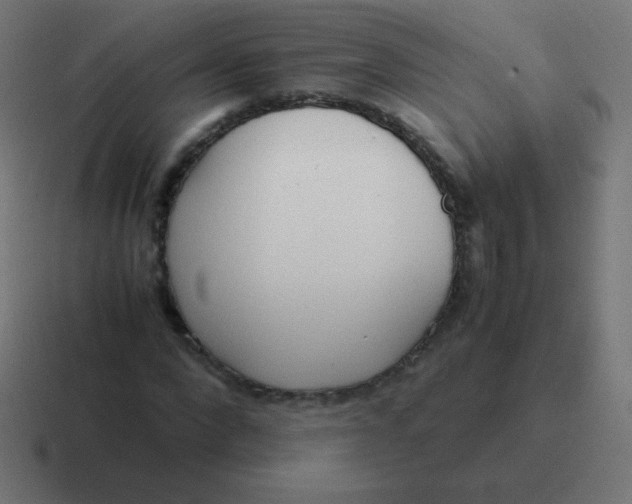 X0000116820872200912312013