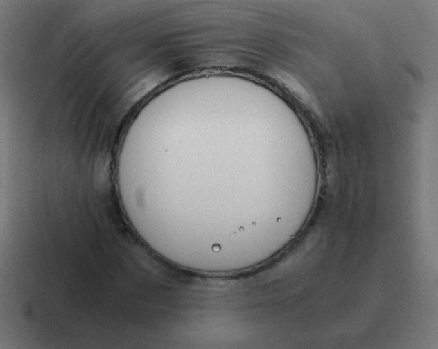 X0000116820873200912312013