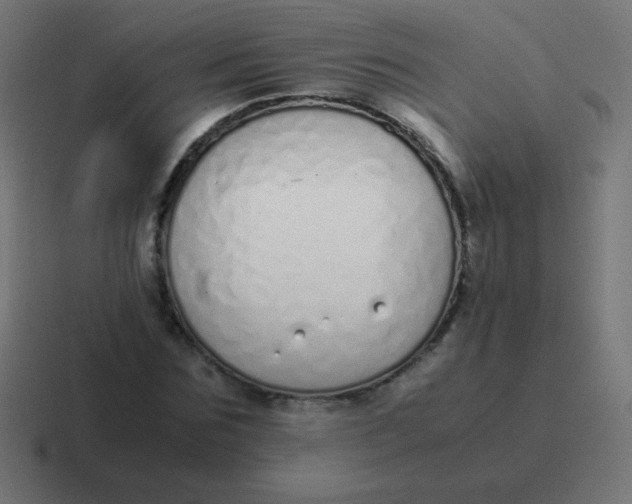 X0000116820875200912312013