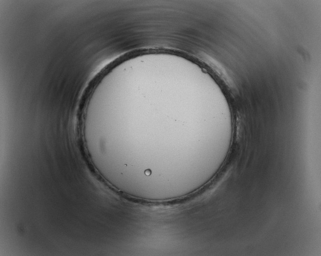 X0000116820876200912312013