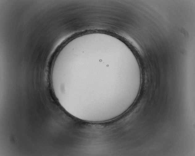 X0000116820878200912312013