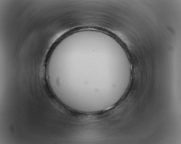 X0000116820879200912312013