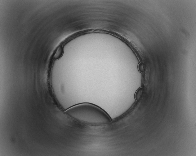 X0000116820880200912312013