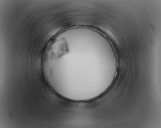 X0000116820881200912312013